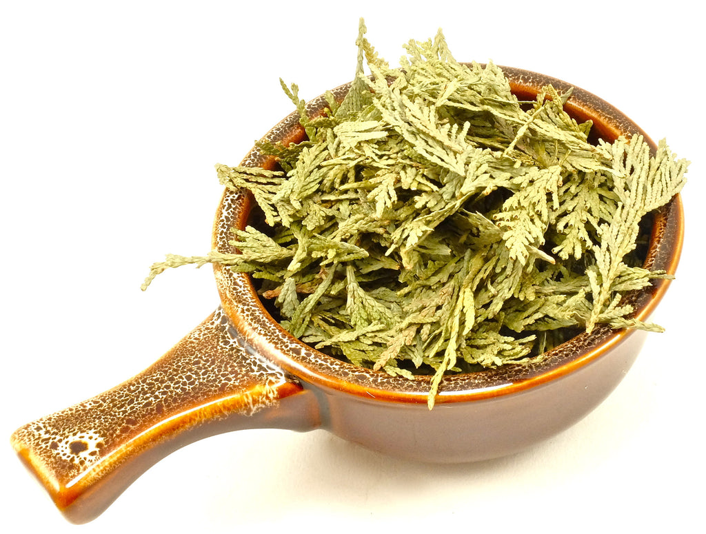 Cedar Tips Whole