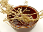 Club Moss Whole