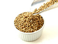 Coriander Seed Whole