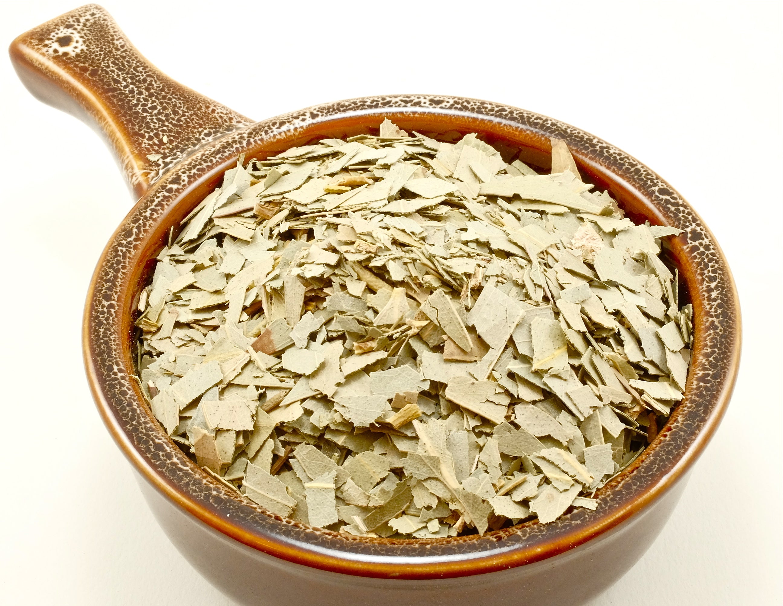 Eucalyptus Leaves Cut