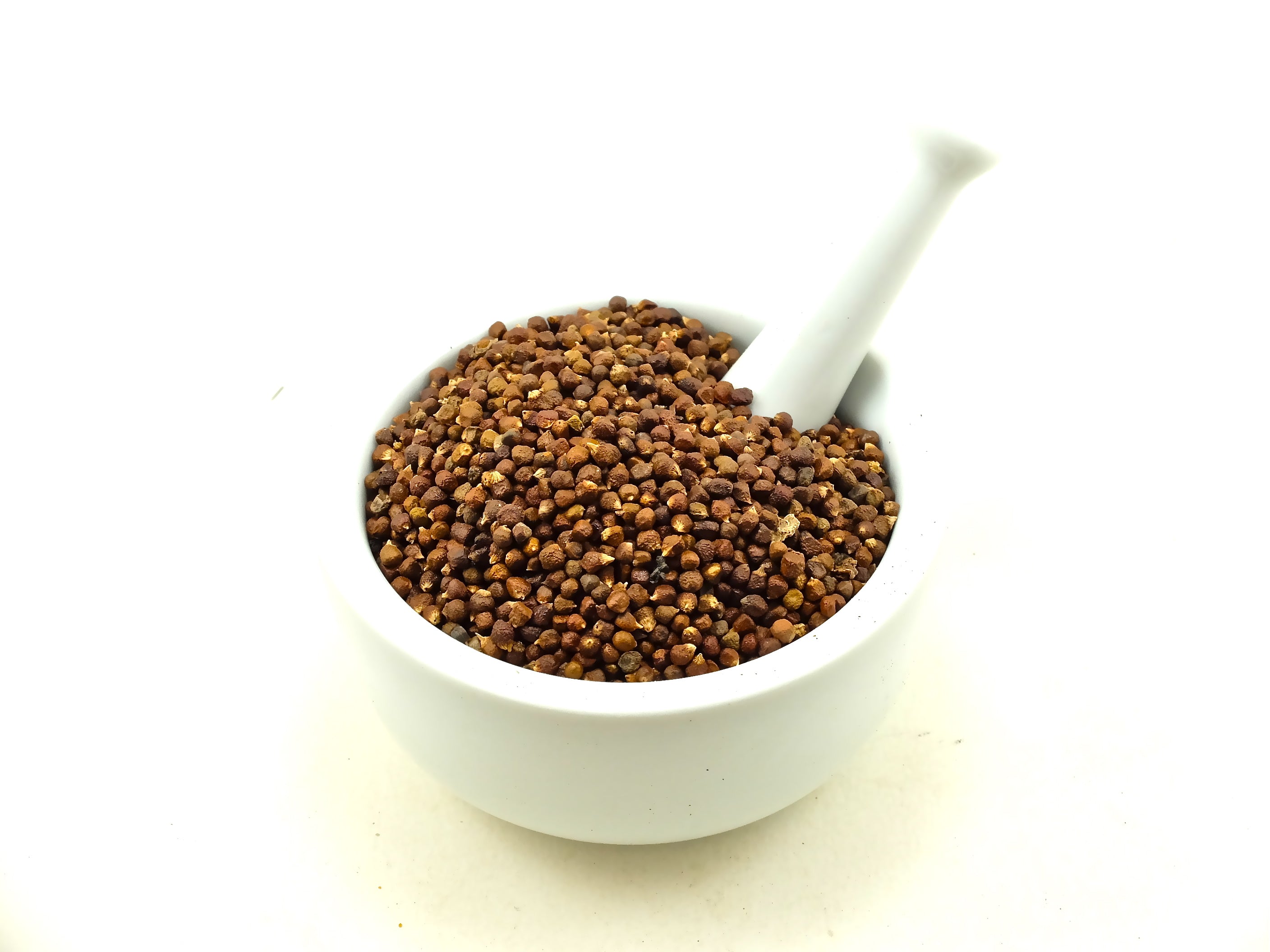 Grains of Paradise Seed Whole