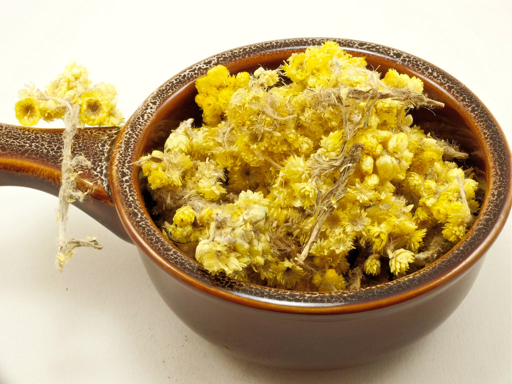 Helichrysum (Life Everlasting) Flowers