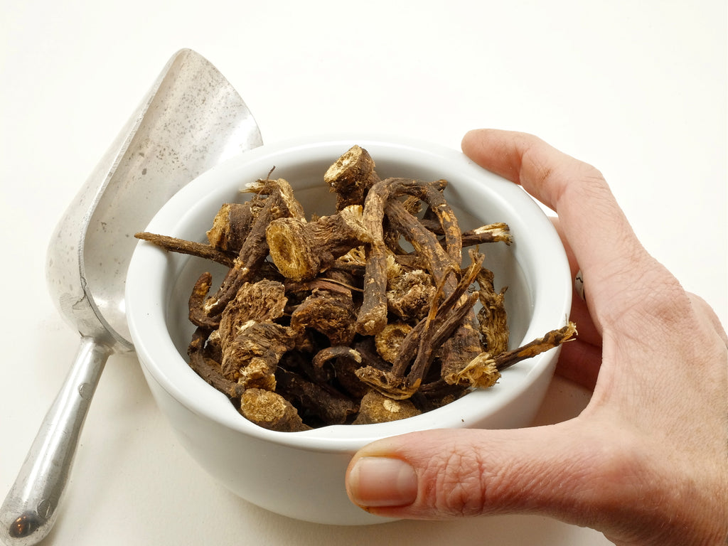 Osha Root Whole - VERY LIMITED SUPPLY - 4 oz Maximum Order