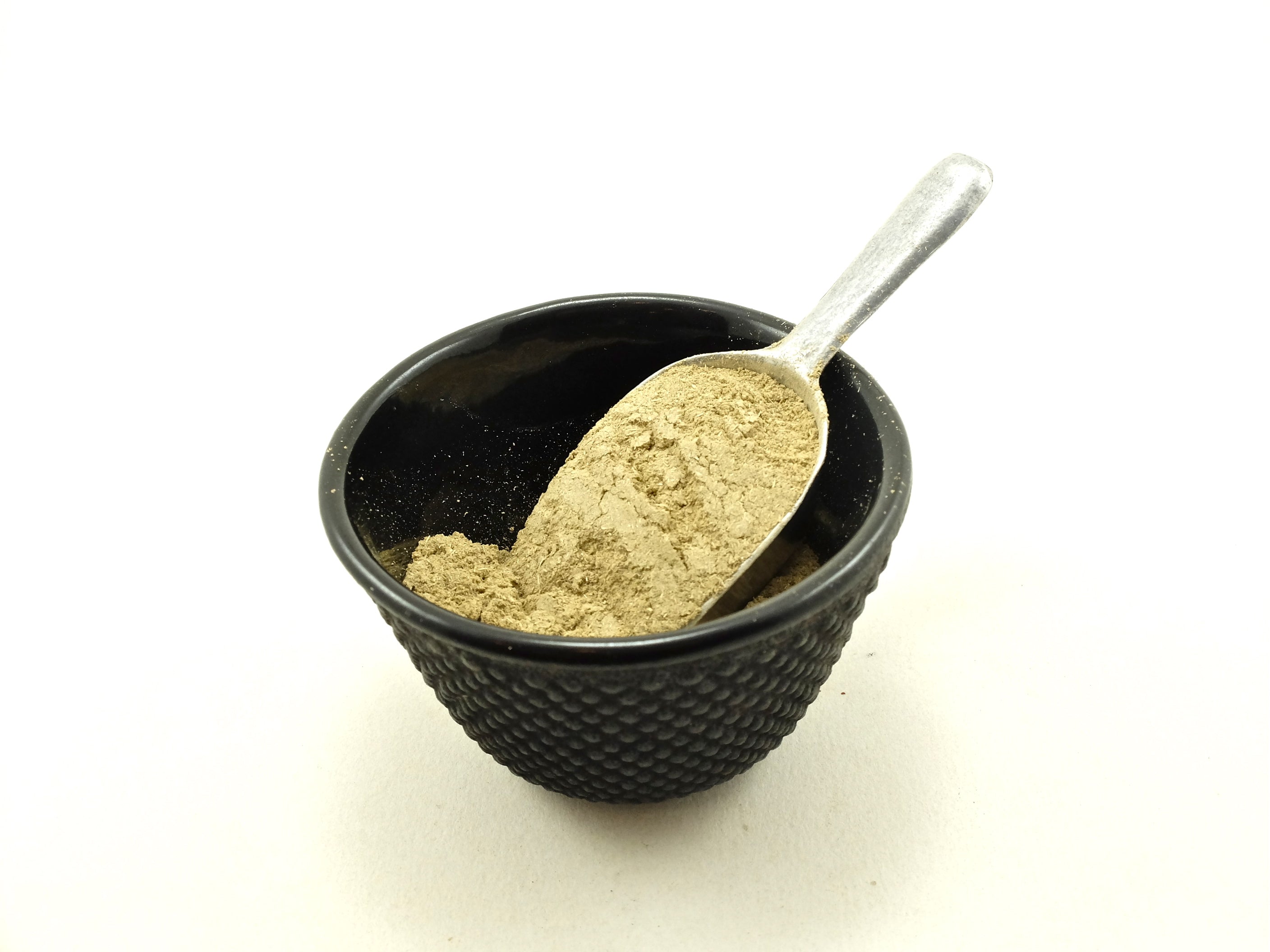 Phyllanthus Plant Powder