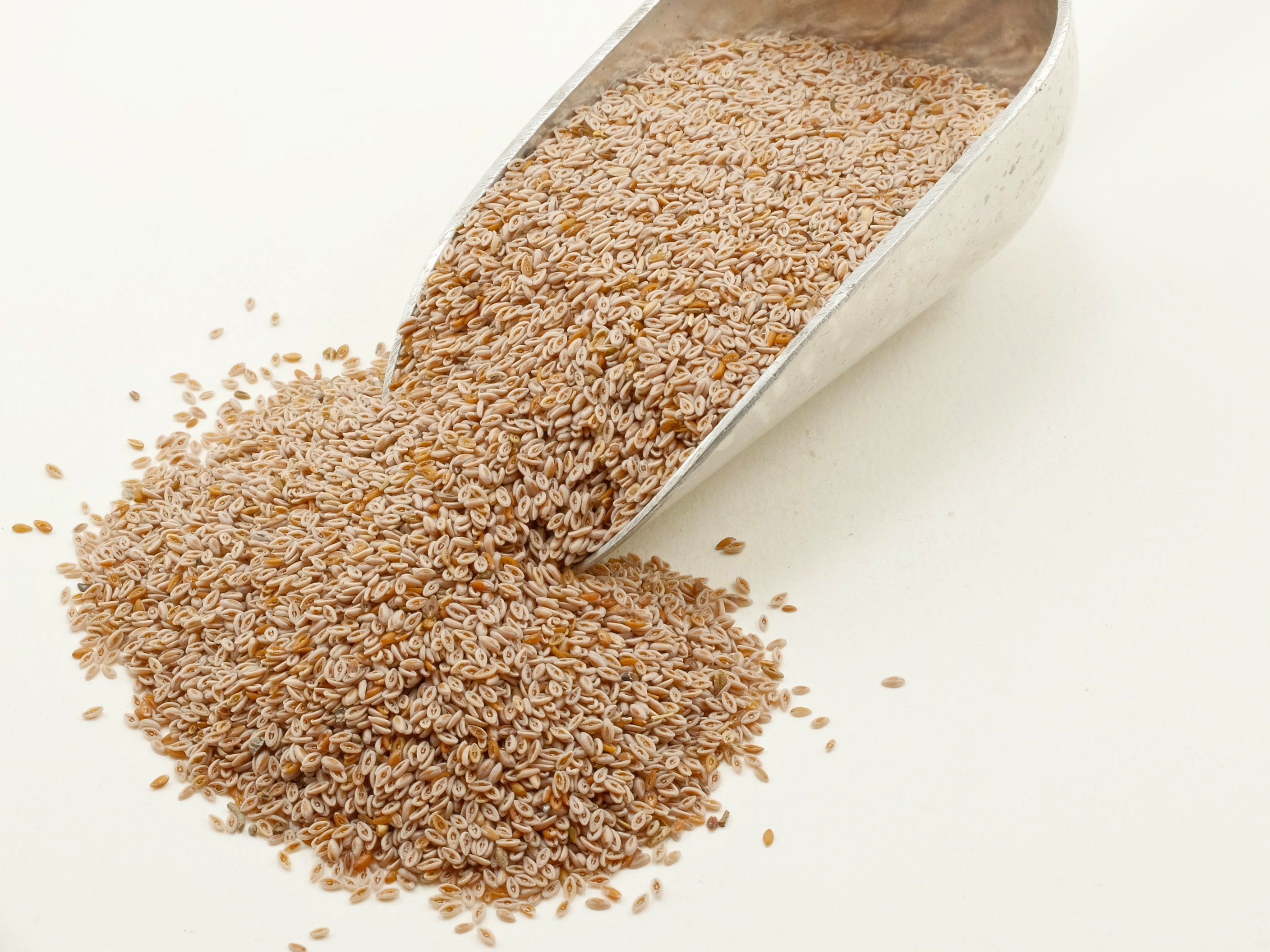 Psyllium Seeds Whole