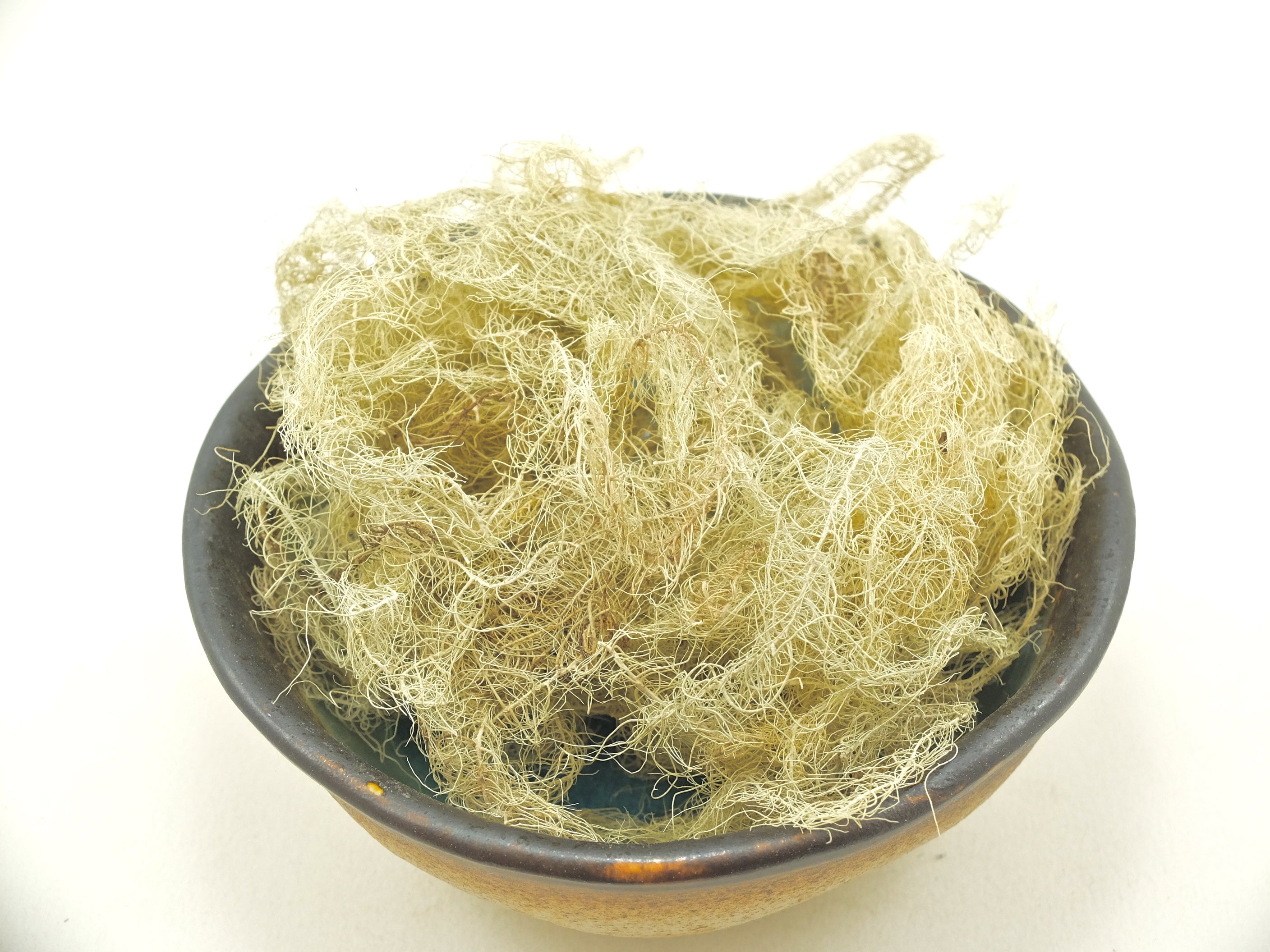 Usnea Lichen