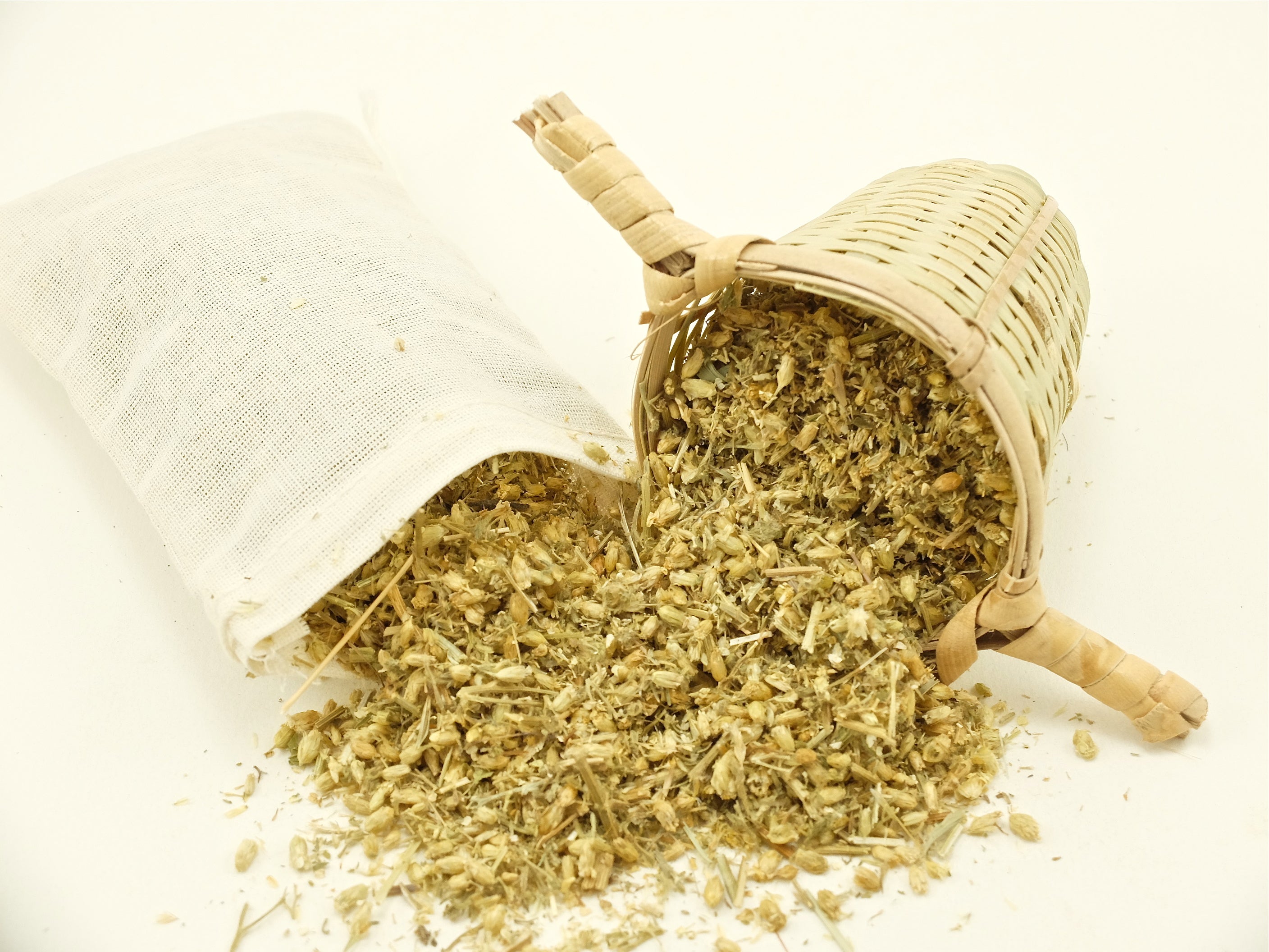 Yarrow Flower and Leaf